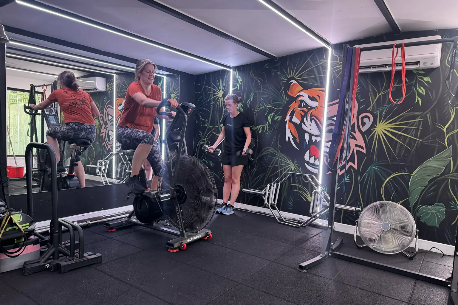 A JungleFit member on the air bike while another trains with dumbbells in front of the tiger mural